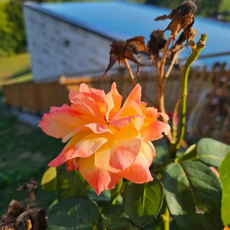 Hotel Klein Holland Kapfenstein